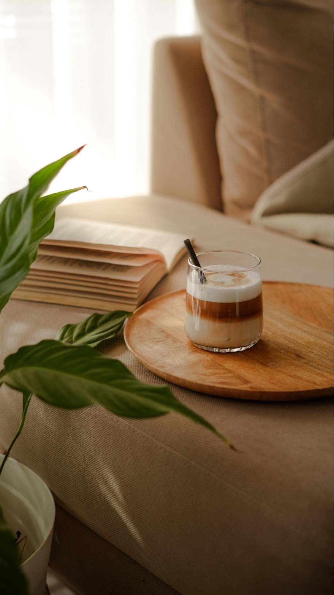 Morning light across a couch, with a warm drink, an open book and a plant